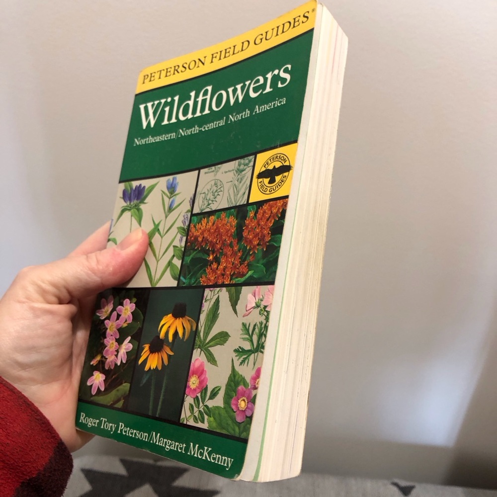 Peterson Field Guides: Wildflowers Book - Picture 5 of 6